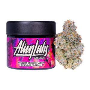 Baklava 41
